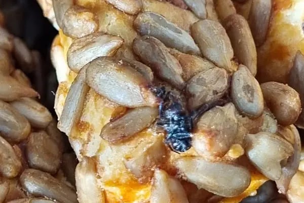 Huzur Ekmek - Resim 10