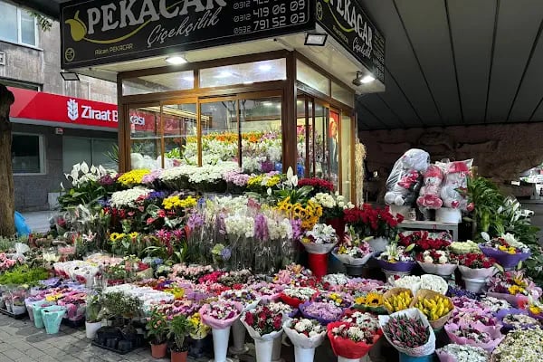 Pekacar Çiçekçilik - Alican PEKACAR - Resim 8