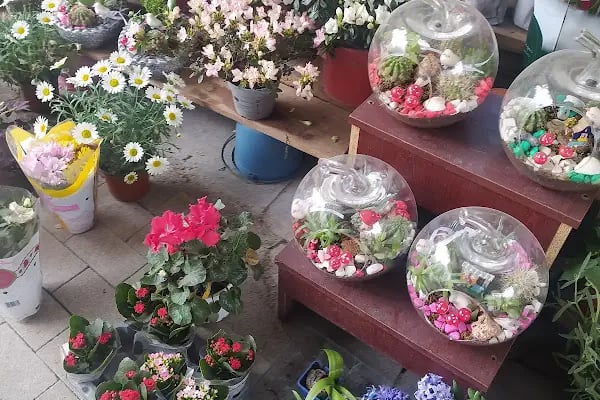 Pekacar Çiçekçilik - Alican PEKACAR - Resim 14