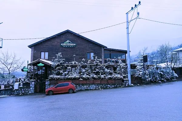 Mysia Olympos Hotel - Resim 16