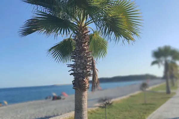 Atlas Apart Otel Demre - Resim 5