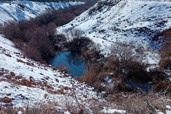 Çınar - Resim 13
