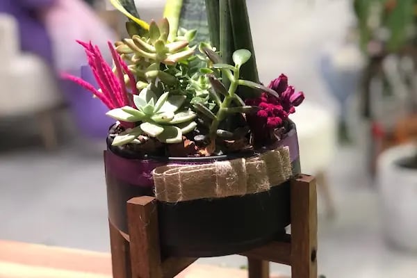 Başiskele çiçekçi Artar flower - Resim 16