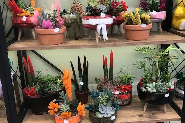 Başiskele çiçekçi Artar flower - Resim 12