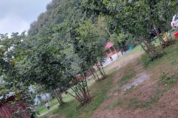 Maçka Camping - Resim 8