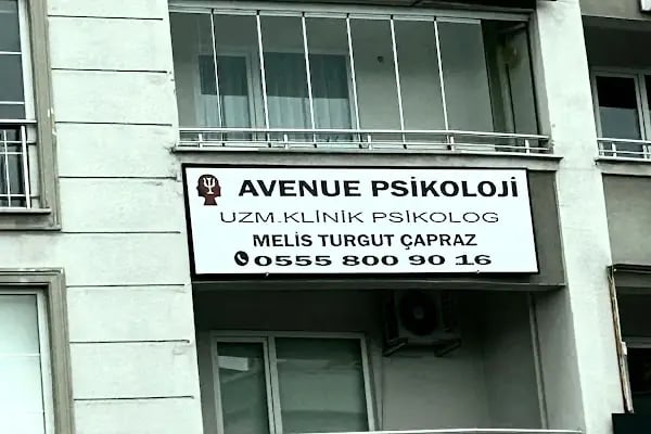 Bursa Klinik Psikolog Melis Turgut Çapraz | Avenue Psikoloji - Resim 7