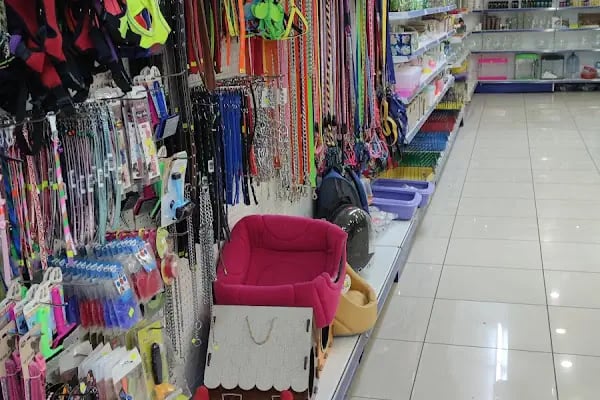 Hobi'den PetShop 3 - Resim 2