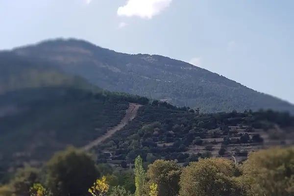 Merkezefendi Belediyesi Ornaz Vadisi Doğal Yaşam Parkı - Resim 19