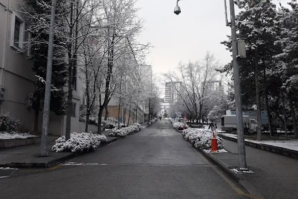 Ankara Üniversitesi Cebeci Kampüsü - Resim 14