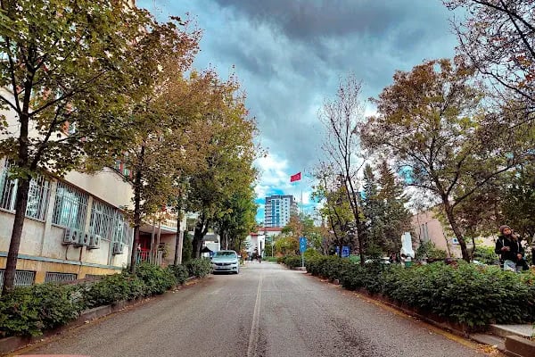 Ankara Üniversitesi Cebeci Kampüsü - Resim 4