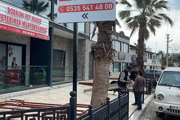 Diş Hekimi Gün Günday - Resim 4