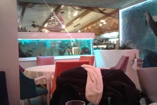 Foça Balık Restaurant - Resim 12