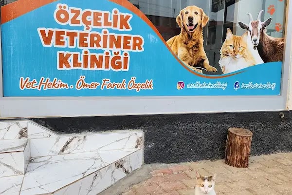 Özçelik Veteriner Kliniği - Resim 17