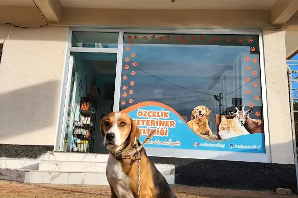 Özçelik Veteriner Kliniği - Resim 18