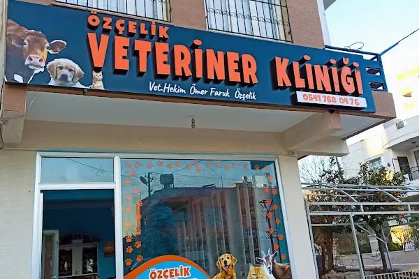 Özçelik Veteriner Kliniği - Resim 8