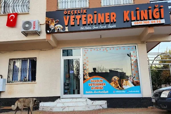 Özçelik Veteriner Kliniği - Resim 15