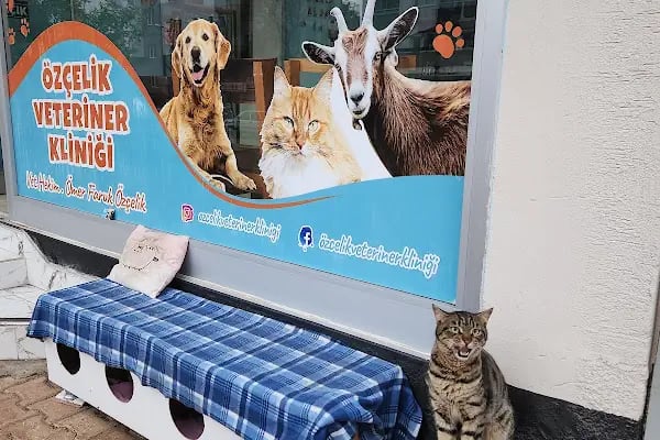 Özçelik Veteriner Kliniği - Resim 11