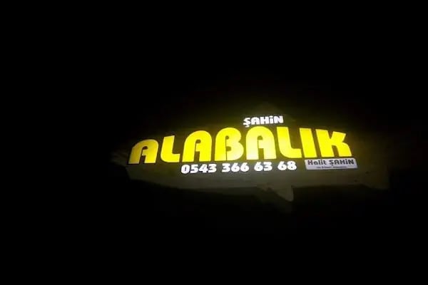 ŞAHİN ALABALIK - Resim 15