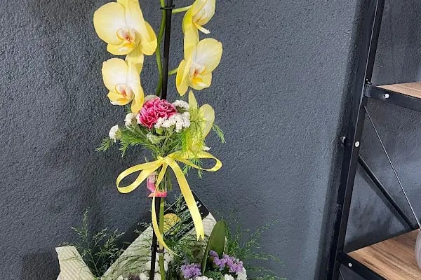 Soma Flora Çiçekçilik - Resim 17