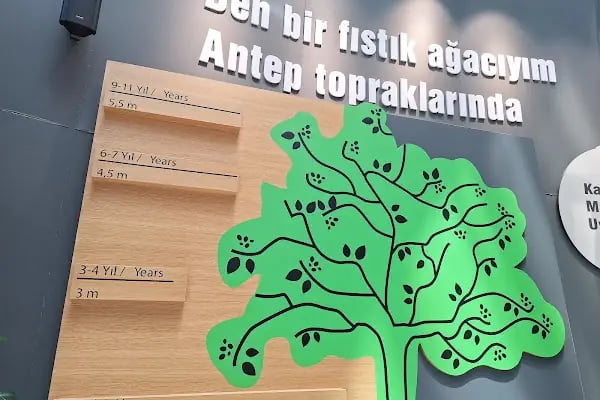 Gaziantep Fıstık Müzesi - Resim 15