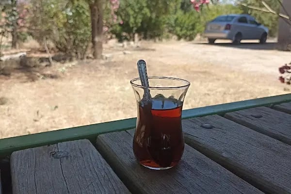 ERDAL GÜNEŞ MALİKANESİ - Resim 2