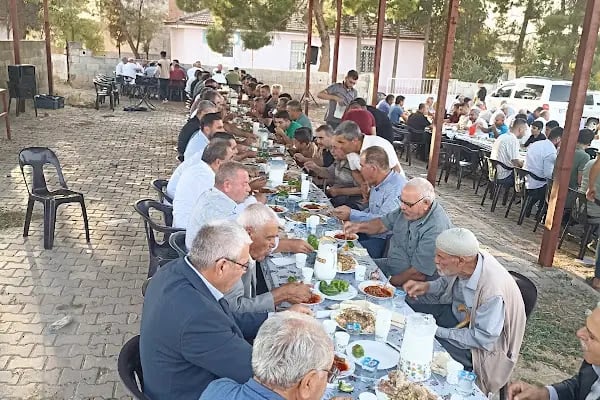 ERDAL GÜNEŞ MALİKANESİ - Resim 7