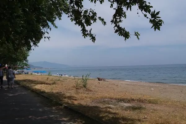 Mare Vista-yakamoz - Resim 7
