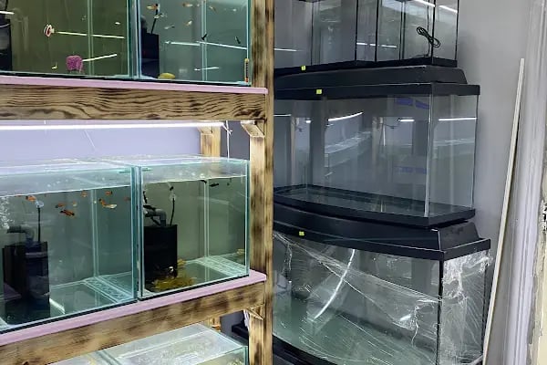 Elif Petshop - Resim 12