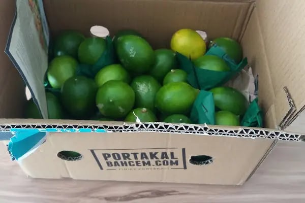 PortakalBahçem - Resim 11