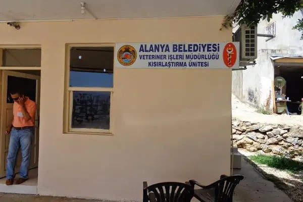Alanya Belediyesi Veteriner İşleri Müdürlüğü - Resim 2