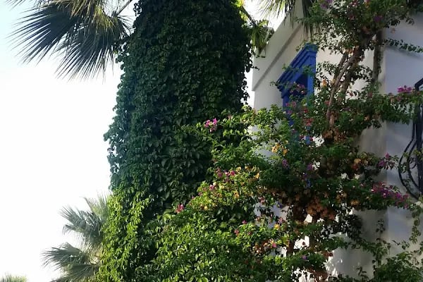 Club Paloma Apartment - Resim 10