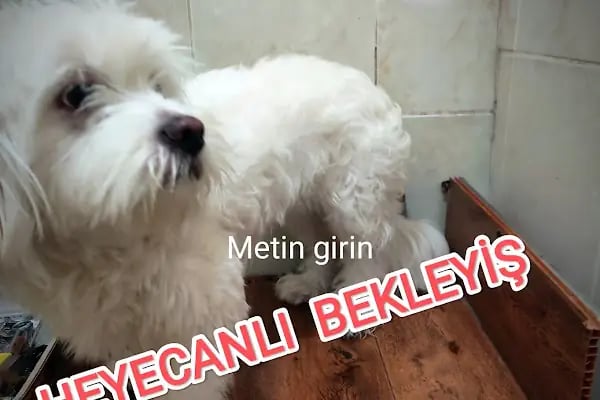 Çayırova Kitabevi &amp; Kırtasiye - Resim 20