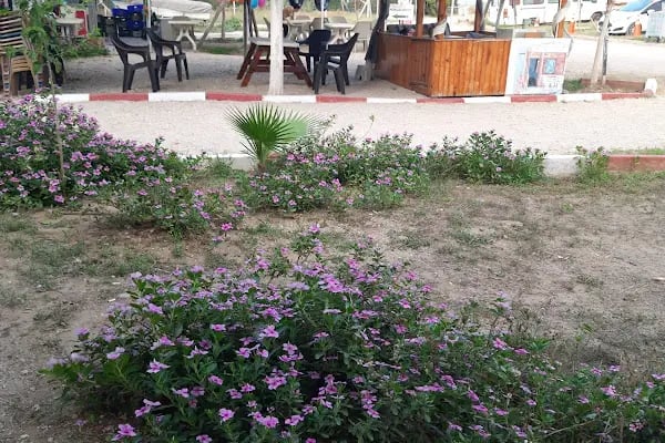 Medcezir Camping - Resim 11