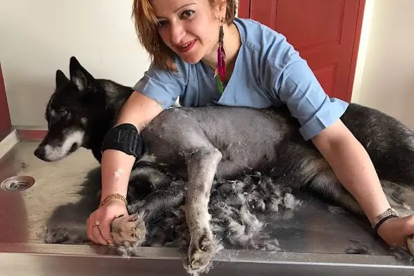 PET 312 VETERİNER POLİKLİNİĞİ 100.YIL - Resim 12