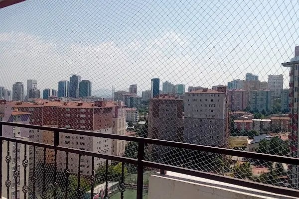 PET 312 VETERİNER POLİKLİNİĞİ 100.YIL - Resim 4