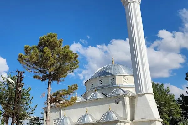 Orhan Nazlı Cami - Resim 6