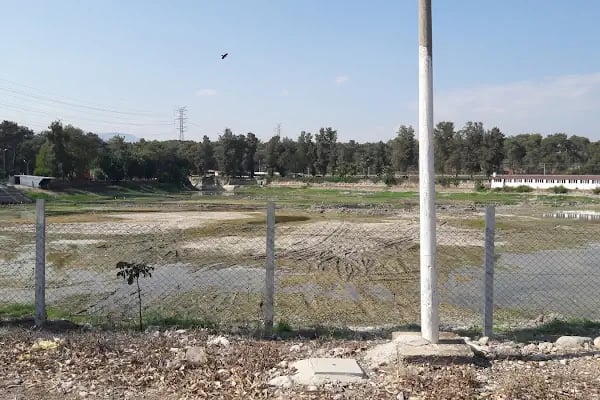 Akdeniz Su Ürünleri Araştırma Üretme ve Eğitim Enstitüsü Müdürlüğü - Resim 6