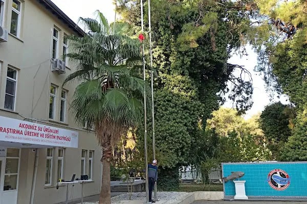 Akdeniz Su Ürünleri Araştırma Üretme ve Eğitim Enstitüsü Müdürlüğü - Resim 19