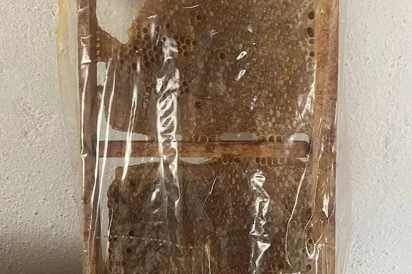 Akdeniz Su Ürünleri Araştırma Üretme ve Eğitim Enstitüsü Müdürlüğü - Resim 5