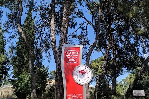 Akdeniz Su Ürünleri Araştırma Üretme ve Eğitim Enstitüsü Müdürlüğü - Resim 12