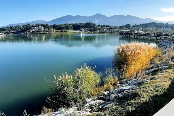 Kemalpaşa Savanda Göleti - Resim 5