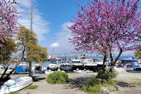 Büyükada İlçe Halk Kütüphanesi - Resim 13