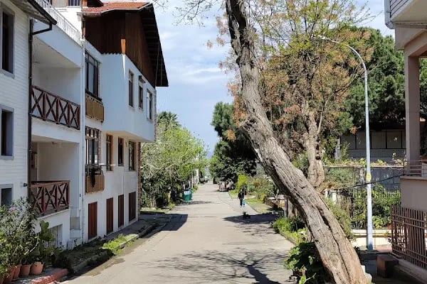 Büyükada İlçe Halk Kütüphanesi - Resim 8