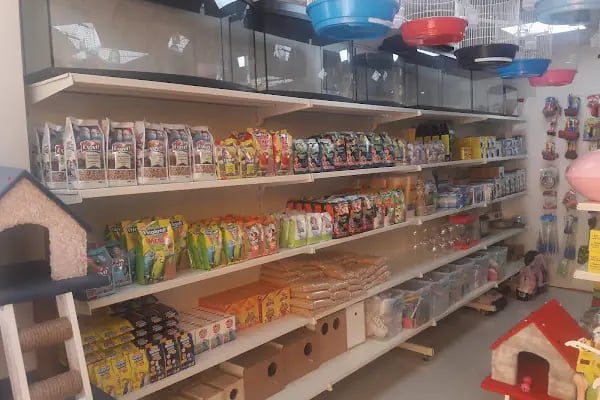 Arın petshop - Resim 4