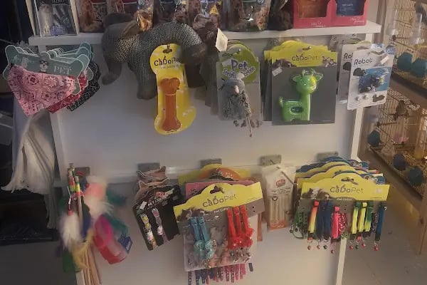 Arın petshop - Resim 6