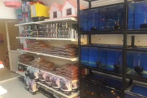 Arın petshop - Resim 8
