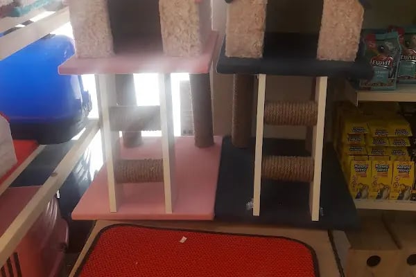 Arın petshop - Resim 7