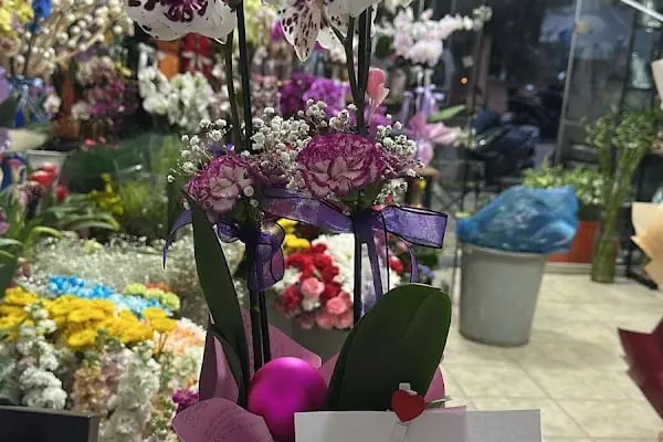 Alanya Çiçekçisi • ALANYA STAR ORGANİZASYON&amp;ÇİÇEK - Resim 17
