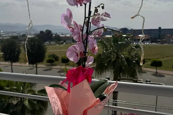 Alanya Çiçekçisi • ALANYA STAR ORGANİZASYON&amp;ÇİÇEK - Resim 9