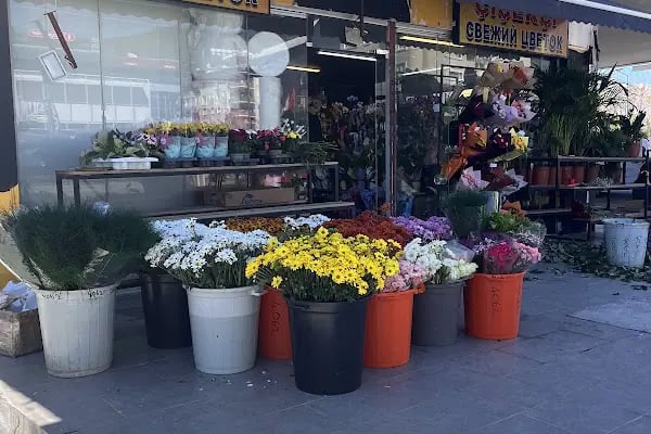 Alanya Çiçekçisi • ALANYA STAR ORGANİZASYON&amp;ÇİÇEK - Resim 2